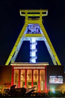 IMG_9956And7more_fused